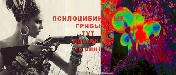 ГАЛЛЮЦИНОГЕННЫЕ ГРИБЫ Богородск
