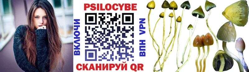 Псилоцибиновые грибы Cubensis  Купить закладки  Белый 
